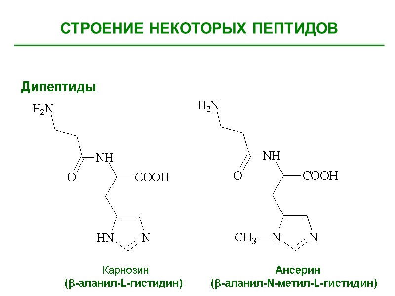 Дипептиды  Карнозин  (-аланил-L-гистидин)   Ансерин (-аланил-N-метил-L-гистидин)   СТРОЕНИЕ НЕКОТОРЫХ ПЕПТИДОВ